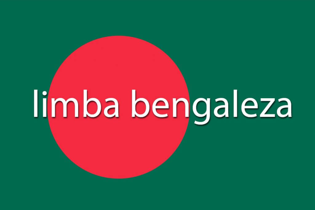 limba bengaleza traduceri interpretariat