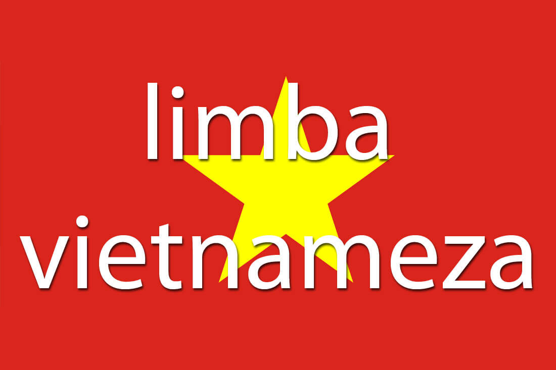 Traduceri Vietnameza Romana in Bucuresti ( autorizate si legalizate )